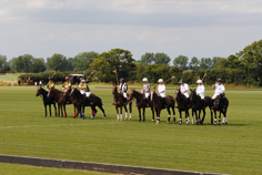 norfolk polo festival