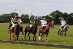 norfolk polo festival