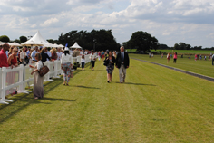 norfolk polo festival