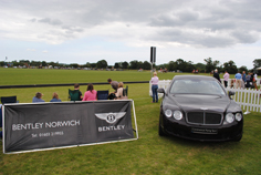 norfolk polo festival