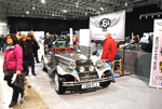 jba falcon stoneleigh 2011